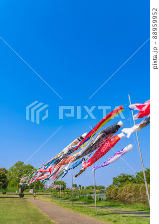 境川緑道公園、大空泳ぐこいのぼり〈岐阜県岐阜市〉 境川緑道公園、大空泳ぐこいのぼり〈岐阜県岐阜市〉 88959952