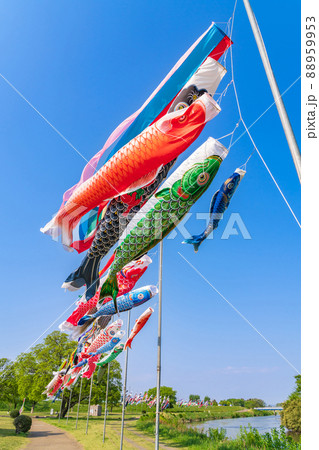 境川緑道公園、大空泳ぐこいのぼり〈岐阜県岐阜市〉 境川緑道公園、大空泳ぐこいのぼり〈岐阜県岐阜市〉 88959953
