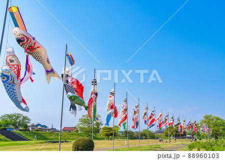 境川緑道公園、大空泳ぐこいのぼり〈岐阜県岐阜市〉 境川緑道公園、大空泳ぐこいのぼり〈岐阜県岐阜市〉 88960103