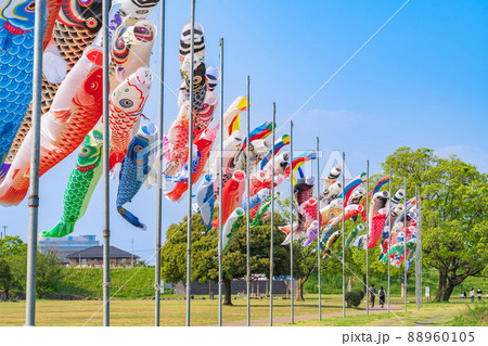 境川緑道公園、大空泳ぐこいのぼり〈岐阜県岐阜市〉 境川緑道公園、大空泳ぐこいのぼり〈岐阜県岐阜市〉 88960105