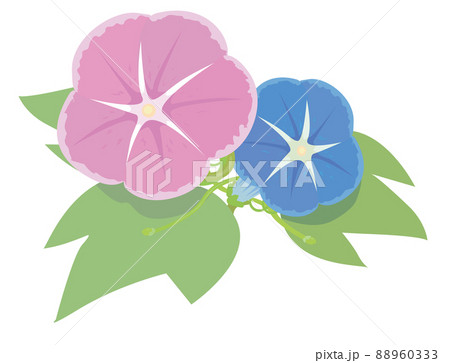 アサガオのアイコンイラスト 88960333