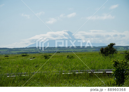 緑の湿原と利尻富士 緑の湿原と利尻富士 88960368