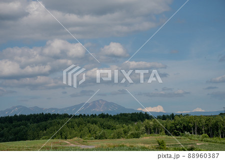 緑の林と雪が残る山並み　大雪山 88960387