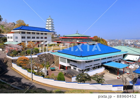 【香川県】桜咲く春の金剛禅総本山少林寺 88960452