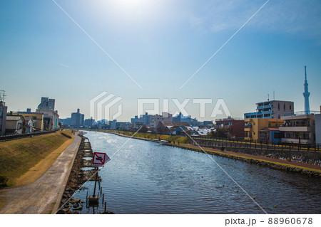 東京都 旧中川河川敷 東京都 旧中川河川敷 88960678