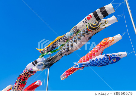 こいのぼり・5月イメージ 88960679