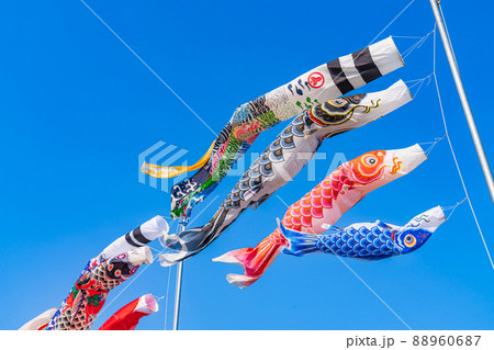 こいのぼり・5月イメージ こいのぼり・5月イメージ 88960687
