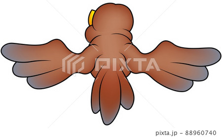 Rear View of a Brown Flying Sparrow 88960740