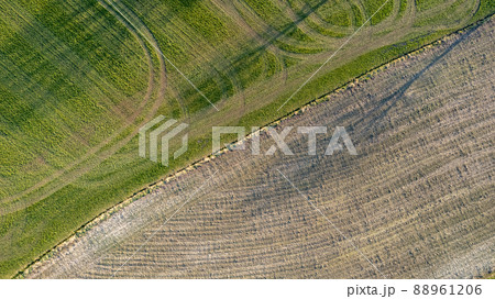 Aerial view geometric farming fields, showing a green meadow and plowed fields, captured with a 88961206