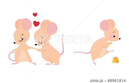 Cute adorable mice in different actions set. Couple of mouse in love cartoon vector illustration Cute adorable mice in different actions set. Couple of mouse in love cartoon vector illustration 88961814