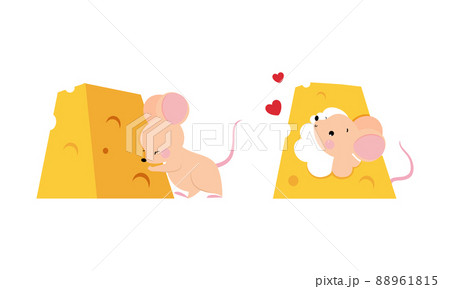 Cute adorable mice eating cheese set cartoon vector illustration Cute adorable mice eating cheese set cartoon vector illustration 88961815