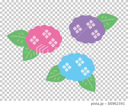 3 color hydrangea illustration material set 3 color hydrangea illustration material set 88962391