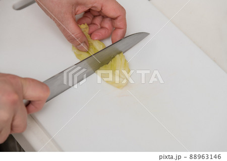 【キャベツの糠漬けを三徳包丁で切る】 【キャベツの糠漬けを三徳包丁で切る】 88963146