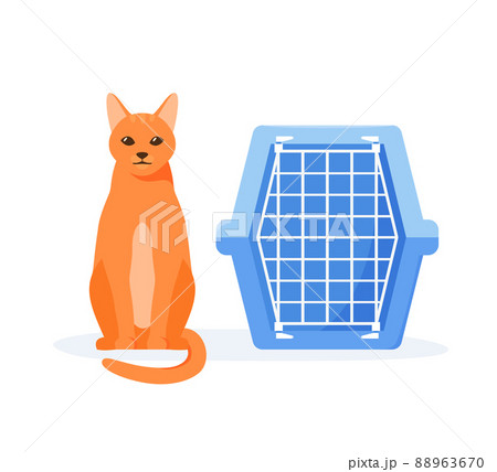 Cat and pet carrier. Manual plastic carrying case for traveling with pets or visiting veterinarian. Cat transport box. Flat style vector  88963670