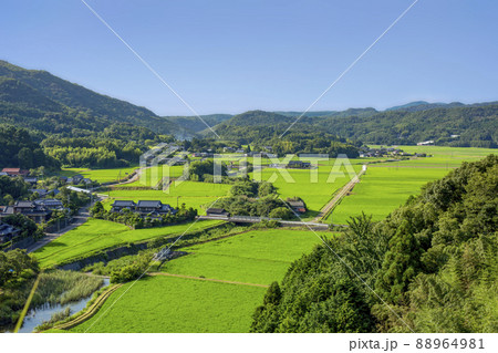 田染荘 88964981
