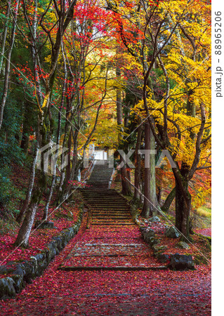 《京都》積善寺の紅葉 88965206