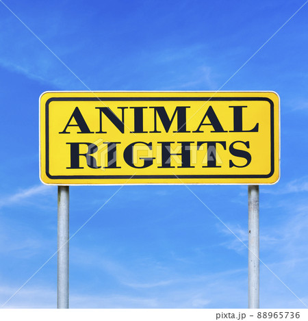 Animal rights 88965736
