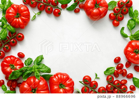 Tomatoes and basil on white background, top view, flat lay 88966696