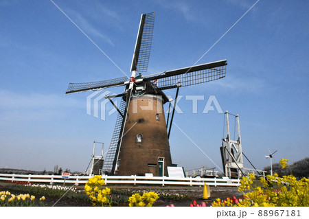 佐倉ふるさと広場で開催 第34回 佐倉チューリップフェスタ 佐倉ふるさと広場で開催 第34回 佐倉チューリップフェスタ 88967181