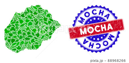 Bicolor Mocha Scratched Seal Stamp with Eco Green Composition of Alegranza Island Map 88968266