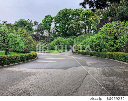 東京千代田区・皇居二の丸庭園　梅林坂 88969232