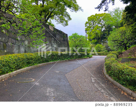 東京千代田区・皇居二の丸庭園 梅林坂 東京千代田区・皇居二の丸庭園 梅林坂 88969235