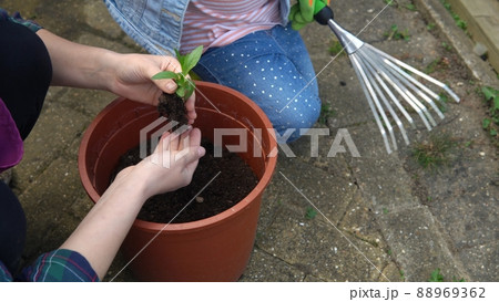 Happy Preschool little girl kid Daughter wear works gloves humic boots planting flowers in pot in garden. Child Helping mother outside. Family Nature gardering, environmental Spring Summer concept 88969362