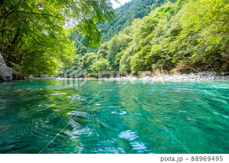 阿寺渓谷(夏) 阿寺渓谷(夏) 88969495