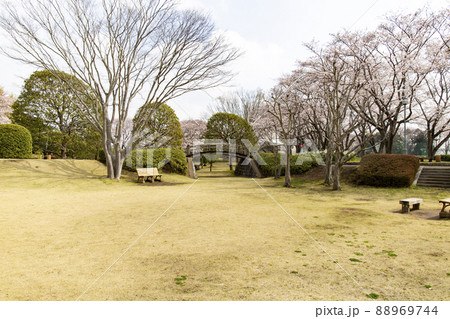 大串貝塚ふれあい公園 88969744