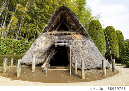 大串貝塚ふれあい公園 88969748