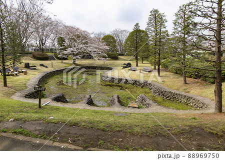 大串貝塚ふれあい公園 88969750
