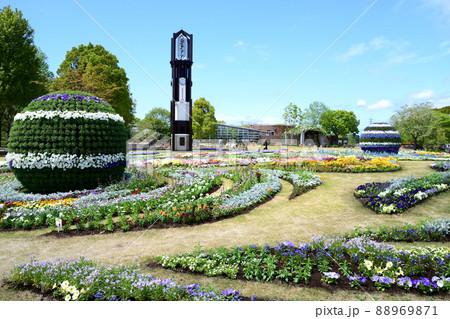 くまもと花博 88969871