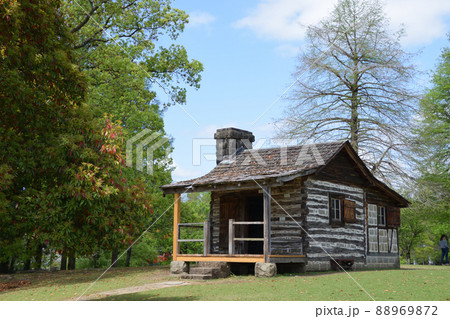 くまもと花博 くまもと花博 88969872