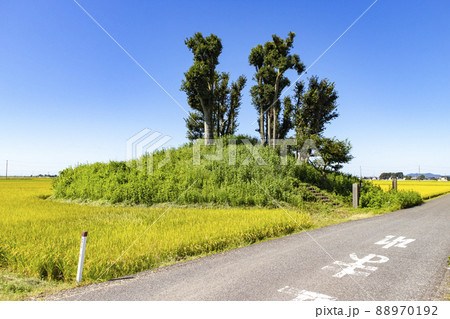 栃木県小山市の毘沙門山古墳 栃木県小山市の毘沙門山古墳 88970192