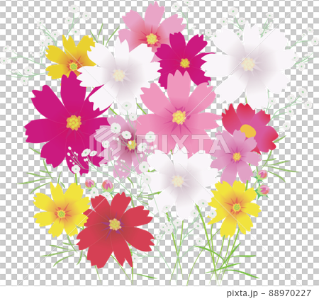 コスモスとカスミソウの花束 コスモスとカスミソウの花束 88970227