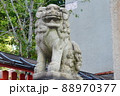 唐獅子の石像(阿形像)（生田神社／兵庫県神戸市中央区） 88970377