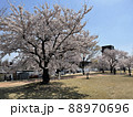 富山 還水公園の桜と天門橋 88970696