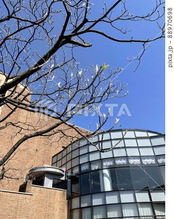富山 男女共同参画センターと新緑 88970698