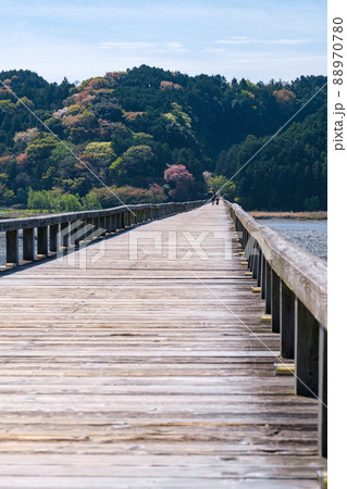 蓬莱橋 蓬莱橋 88970780