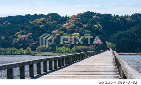 蓬莱橋 蓬莱橋 88970782