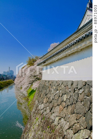 山形城跡・霞城公園の桜(山形県・山形市) 山形城跡・霞城公園の桜(山形県・山形市) 88971003
