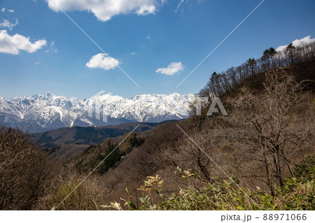 白沢峠から見た北アルプス　長野県 88971066