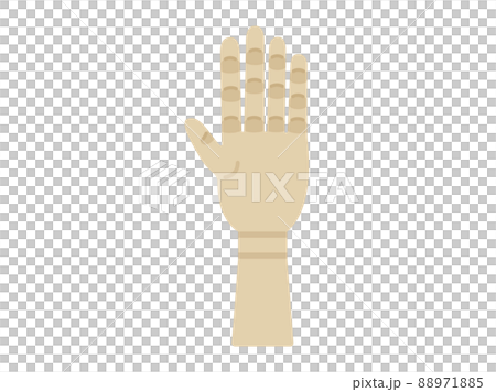 Illustration of a hand model for drawing Illustration of a hand model for drawing 88971885
