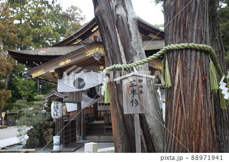 建部大社 88971941