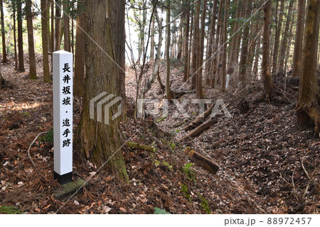 長井坂城　追手跡 88972457
