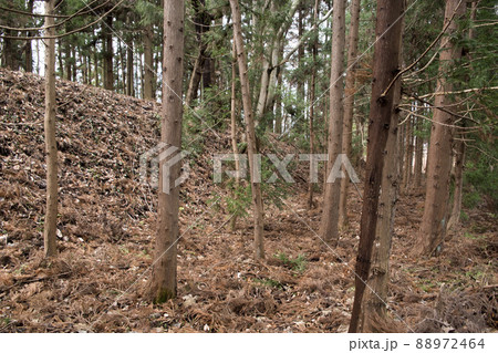 長井坂城　本丸土塁 88972464