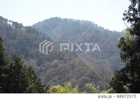長野市 旭山 長野市 旭山 88972575