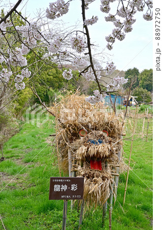 見沼田圃：生物多様性シンボル　龍神・彩　 88972750