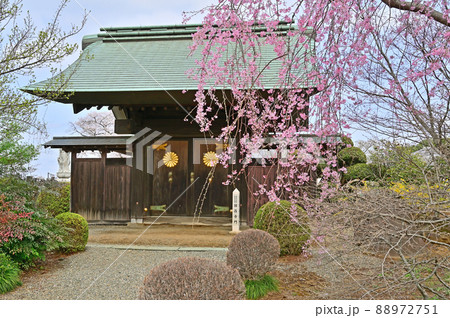 見沼田圃:国昌寺 曹洞宗 開かずの門 見沼田圃:国昌寺 曹洞宗 開かずの門 88972751