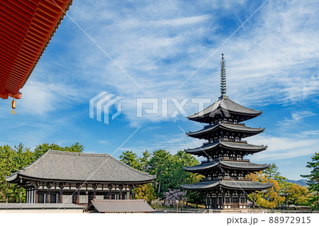 奈良 興福寺 東金堂と五重塔 88972915